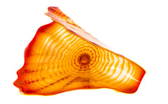 Dale Chihuly Large 25” Signed Orange Raw Sienna Persian Glass Sculpture with Yellow Lip Wrap $30k Appraisal