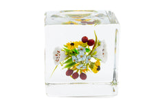 Paul Stankard Signed Square Glass Paperweight with Flowers, Berries, and Root Person