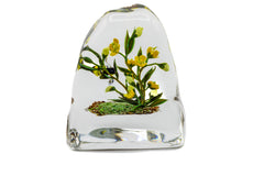 Paul Stankard Signed Irregular Dome Hand Blown Glass Paperweight with Yellow Daffodils and Bee