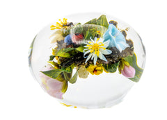 Paul Stankard Signed Round Handblown Glass Botanical Paperweight with Root Person