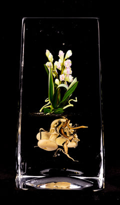Paul Stankard Signed Hand Blown Glass Paperweight Sculpture Root People with Lavender Flowers