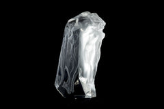 Transcendent 40k Retail Signed Limited Edition