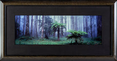 Extremely Limited Rare sold out 28/100 Small Edition 50k current store retail Misty Forest