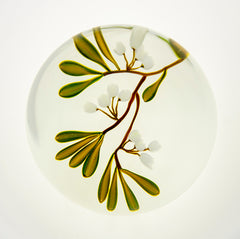 Glass Paperweight Fine Art Experimental Unique piece Best offer