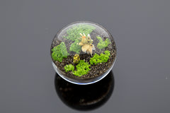 Paperweight lampworked glass, signed