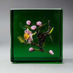 Glass Paperweight Fine Art Green Apple Blossom with honey Bee Signed