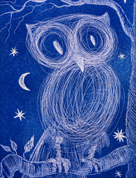 Salvador Dali Petite Chouette (Little Owl) Color Etching