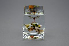 Dragonfly hovering Beautiful Blossoming Botanical + Human form