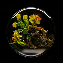 Glass Paperweight Fine Art Tulips Daffodils Mosaic Signed S 11