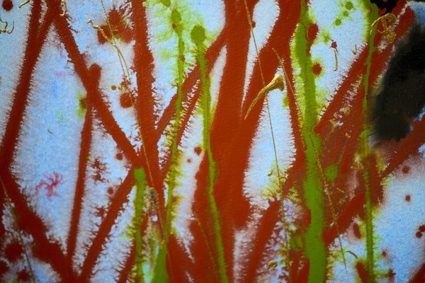Dale Chihuly Nuutajarvi/Fish House 60" x 40" Painting