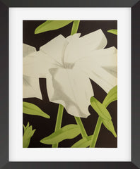 Alex Katz Petunia Lithograph Signed Edition of 40 | Modern Artifact