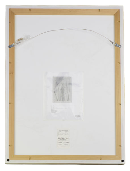 Alex Katz, Yellow Flags, 2020 Signed Edition of 100