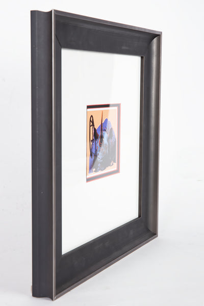 Andy Warhol, Black Rhinoceros, Endangered Species FS301 Announcement Signed