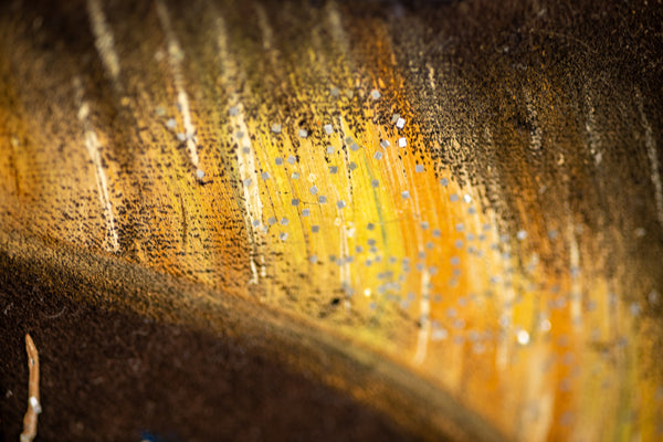 Bob Ross Authentic Original Oil on Velvet Painting inside Gold Pan Alaska Northern Lights Mountain Scene