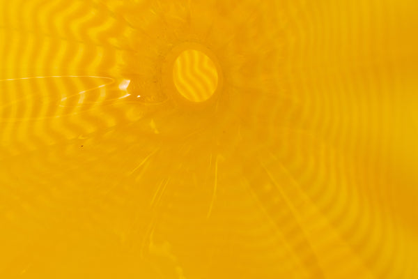 Dale Chihuly, Yellow Buttercup Persian, 1996 Portland Press Edition Hand Blown Glass