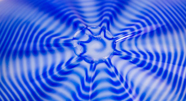 Dale Chihuly, Larkspur Blue Seaform Set, Sold Out Portland Press Signed Edition