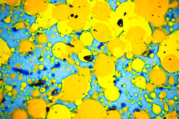 Dale Chihuly, Peacock Blue Float, Large 52" Original Lightbox Painting