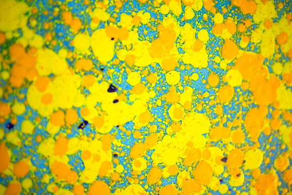 Dale Chihuly, Peacock Blue Float, Large 52" Original Lightbox Painting