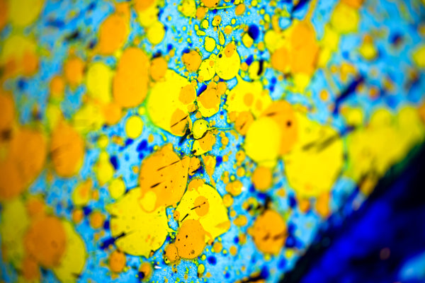 Dale Chihuly, Peacock Blue Float, Large 52" Original Lightbox Painting