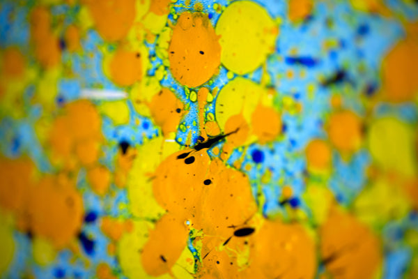 Dale Chihuly, Peacock Blue Float, Large 52" Original Lightbox Painting