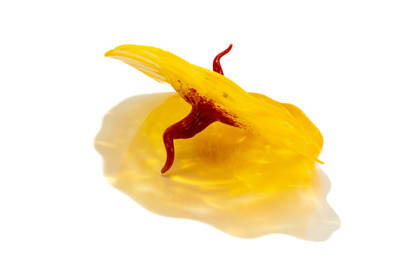 Dale Chihuly, Bel Fiore, Signed 2005 Portland Press Hand Blown Glass