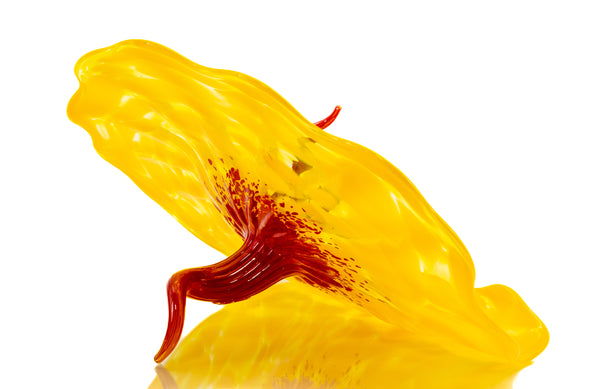 Dale Chihuly, Bel Fiore, Signed 2005 Portland Press Hand Blown Glass