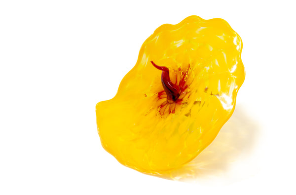 Dale Chihuly, Bel Fiore, Signed 2005 Portland Press Hand Blown Glass