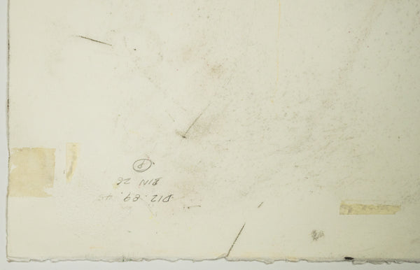 Dale Chihuly Original Signed Charcoal Venetian Drawing 89/1479