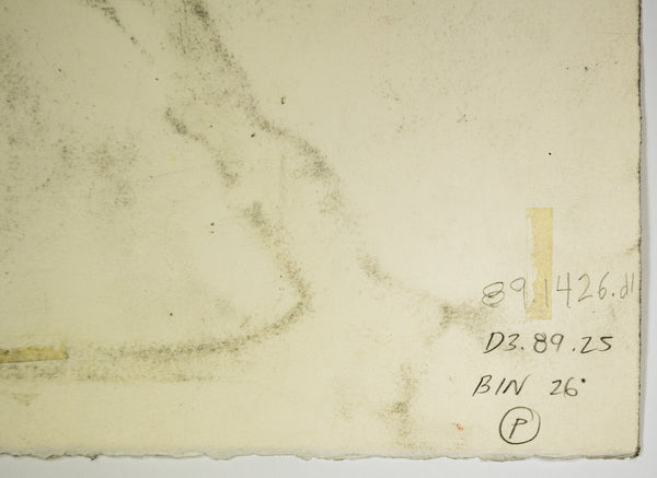 Dale Chihuly Original Charcoal Japan Drawing 89/1426