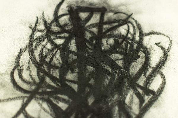 Dale Chihuly Original Signed Charcoal Japan Drawing 90/1457