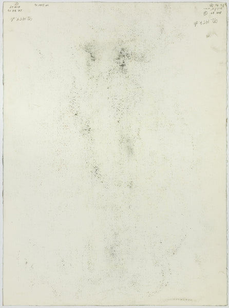 Dale Chihuly Original Signed Charcoal Japan Drawing 90/1457