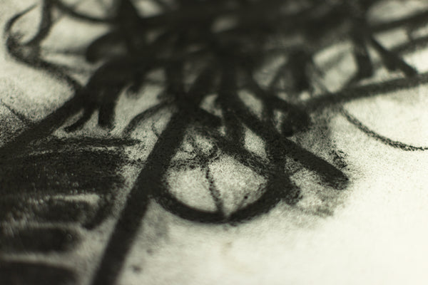 Dale Chihuly Original Signed Charcoal Japan Drawing 90/1457