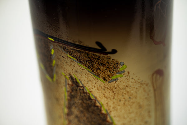 Dale Chihuly Indian Blanket Cylinder 1976 12” Signed Hand Blown Glass