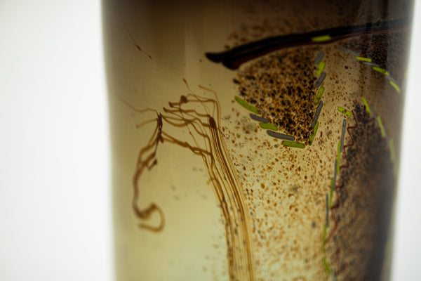 Dale Chihuly Indian Blanket Cylinder 1976 12” Signed Hand Blown Glass