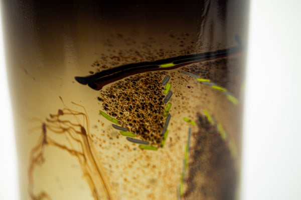 Dale Chihuly Indian Blanket Cylinder 1976 12” Signed Hand Blown Glass