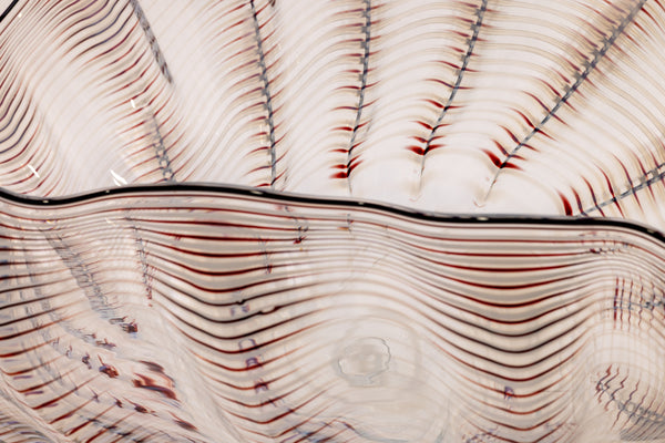 Dale Chihuly Large Hand-Blown Glass 20” Signed Ivory Red Seaform with Black Lip Wrap
