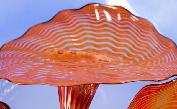 Dale Chihuly, Lapis Blue and Orange Five Piece Seaform Set, Signed 1988