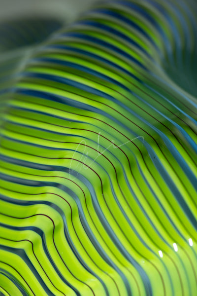 Dale Chihuly Neptune Blue Seaform Sold Out 2011 Portland Press Signed Hand Blown Glass