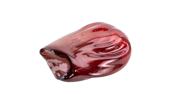 Dale Chihuly 1986 Large Signed Glass Oxblood Seaform Pair with Turquoise Lip Wrap