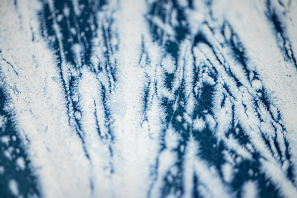 Dale Chihuly Original Acrylic on Paper Signed Painting Aegean Blue Reeds 42x30 Inches