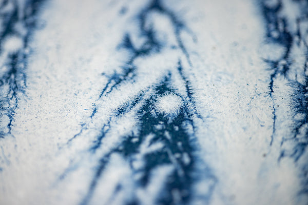 Dale Chihuly Original Acrylic on Paper Signed Painting Aegean Blue Reeds 42x30 Inches