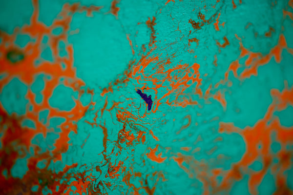 Dale Chihuly Turquoise Orange Macchia Signed 42” Original Painting