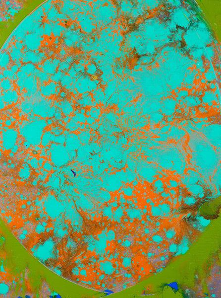 Dale Chihuly Turquoise Orange Macchia Signed 42” Original Painting