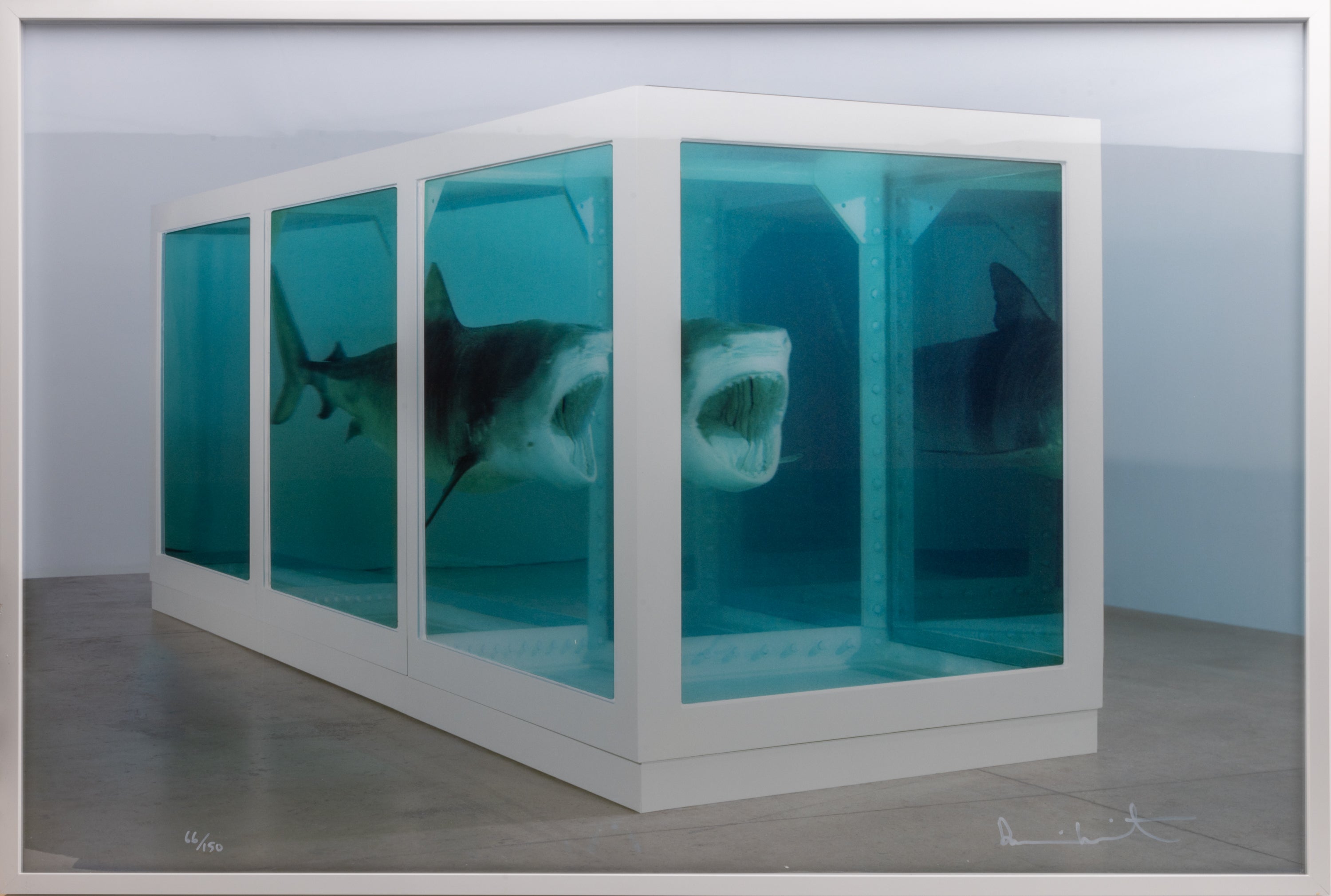 Damien Hirst - The Physical Impossibility of Death in the Mind of