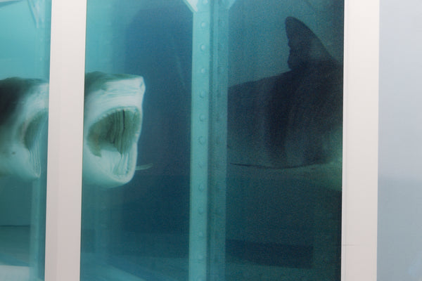 Damien Hirst Lenticular Shark Print The Physical Impossibility of Death in the Mind of Someone Living Signed Edition of 150