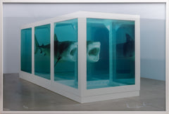 Damien Hirst - The Physical Impossibility of Death in the Mind of