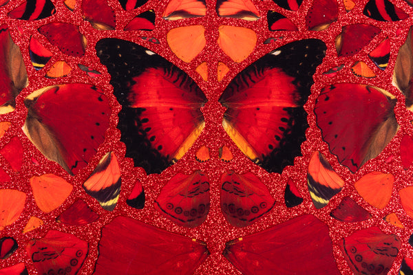 Damien Hirst Empresses: Theodora Red Butterfly Limited Edition Giclee 2022
