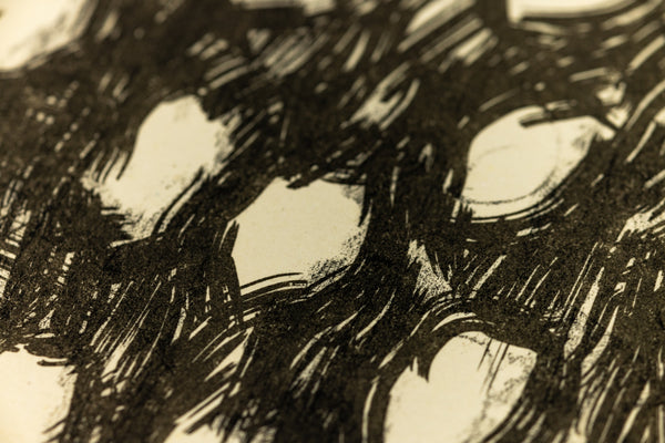 David Hockney Ann Combing Her Hair Signed Lithograph Edition of 75