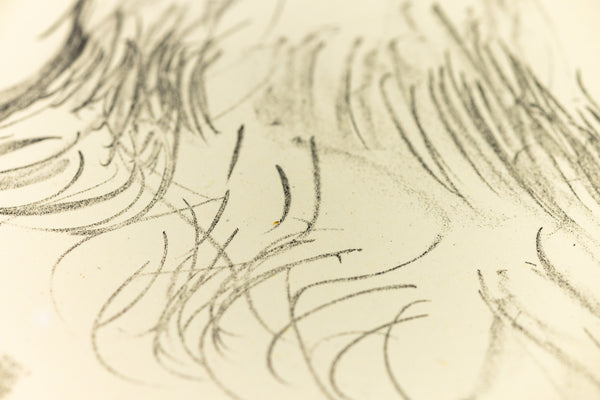 David Hockney Ann Combing Her Hair Signed Lithograph Edition of 75