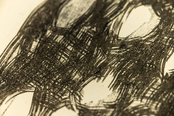 David Hockney Ann Combing Her Hair Signed Lithograph Edition of 75